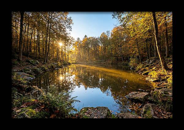Walden Pond Serenity