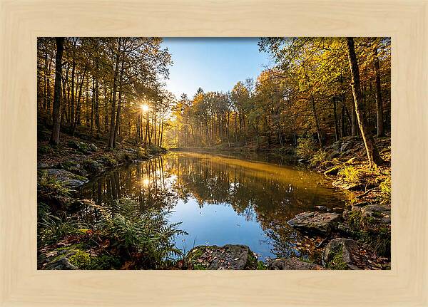 Walden Pond Serenity