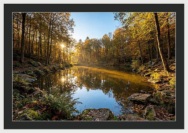 Walden Pond Serenity
