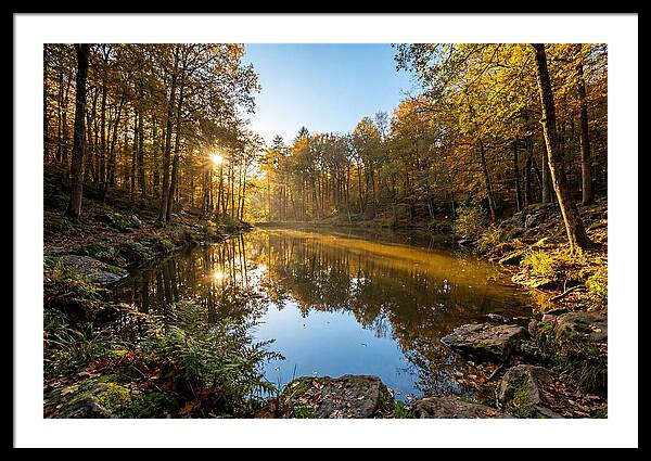 Walden Pond Serenity