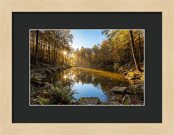 Walden Pond Serenity