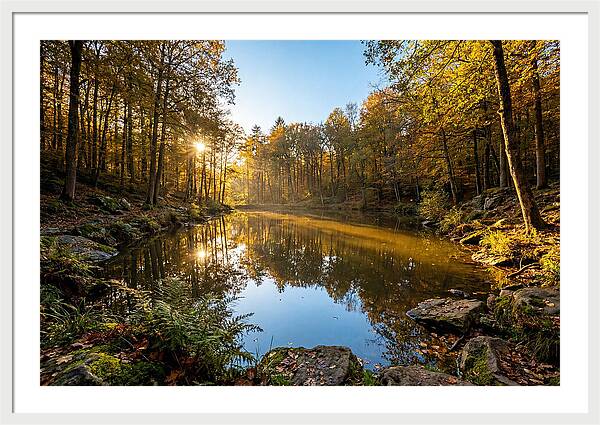 Walden Pond Serenity