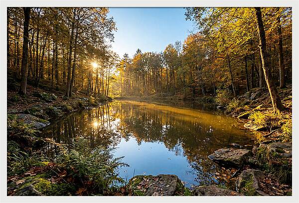 Walden Pond Serenity