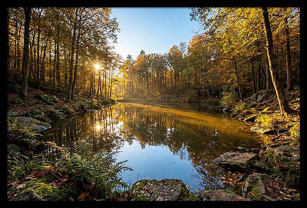 Walden Pond Serenity