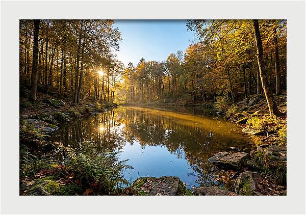 Walden Pond Serenity