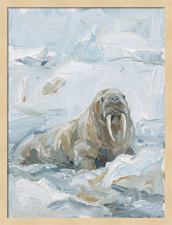 Walrus On Ice