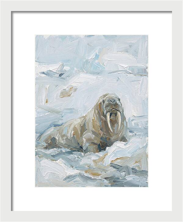 Walrus On Ice