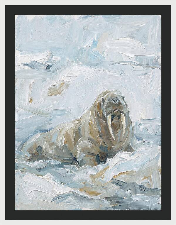 Walrus On Ice