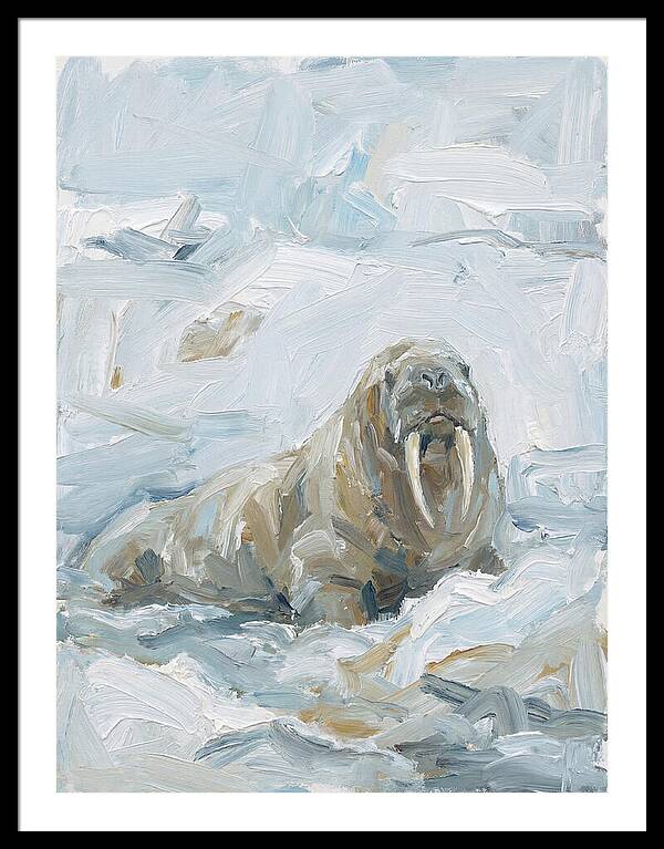 Walrus On Ice
