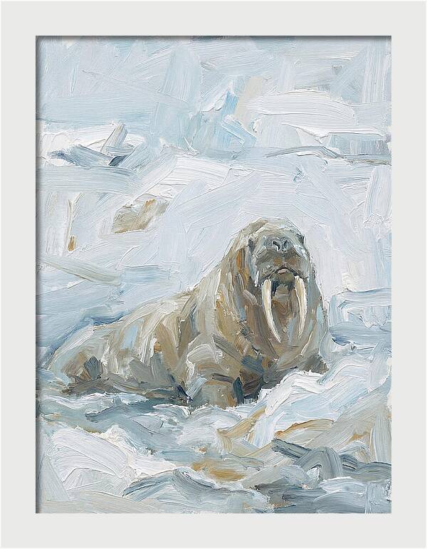 Walrus On Ice