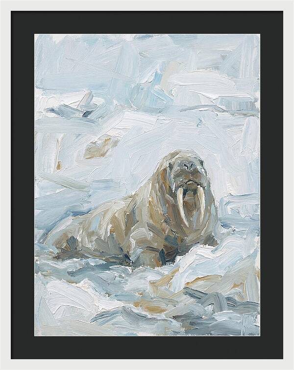 Walrus On Ice