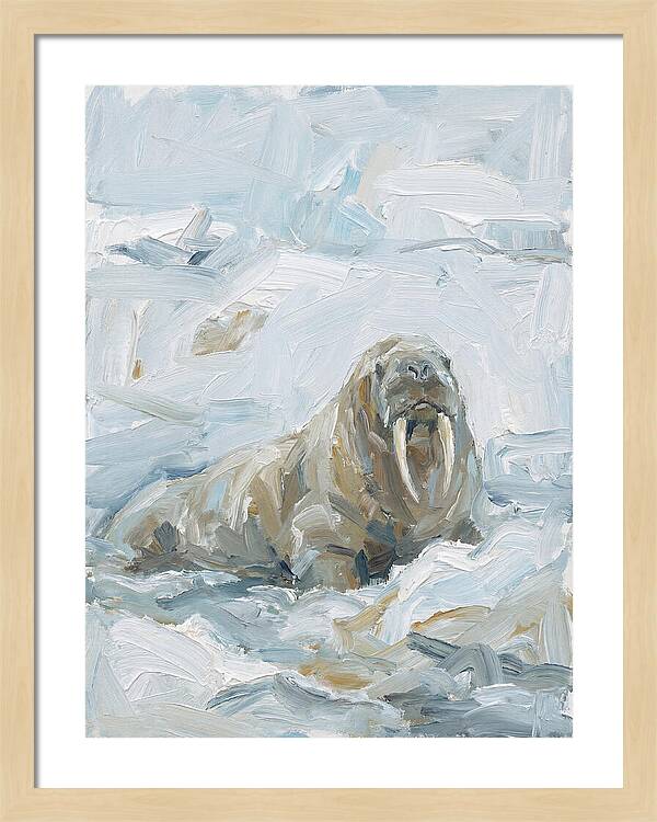 Walrus On Ice