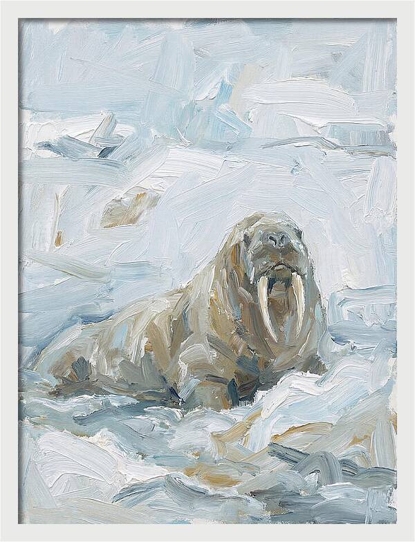 Walrus On Ice