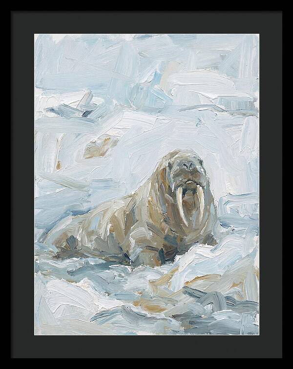 Walrus On Ice