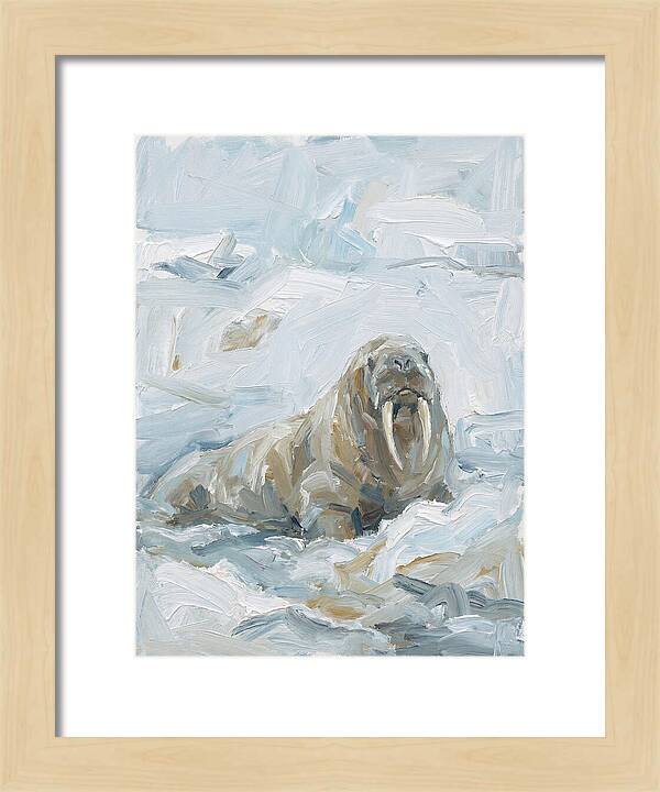 Walrus On Ice