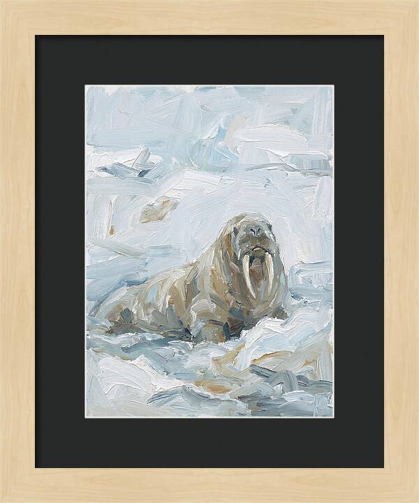 Walrus On Ice
