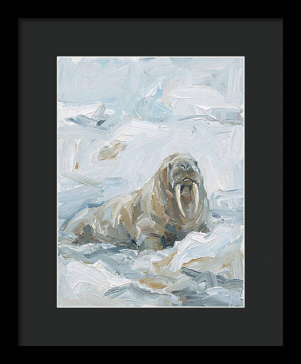 Walrus On Ice