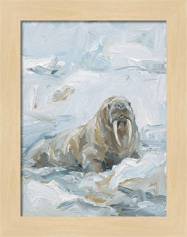 Walrus On Ice