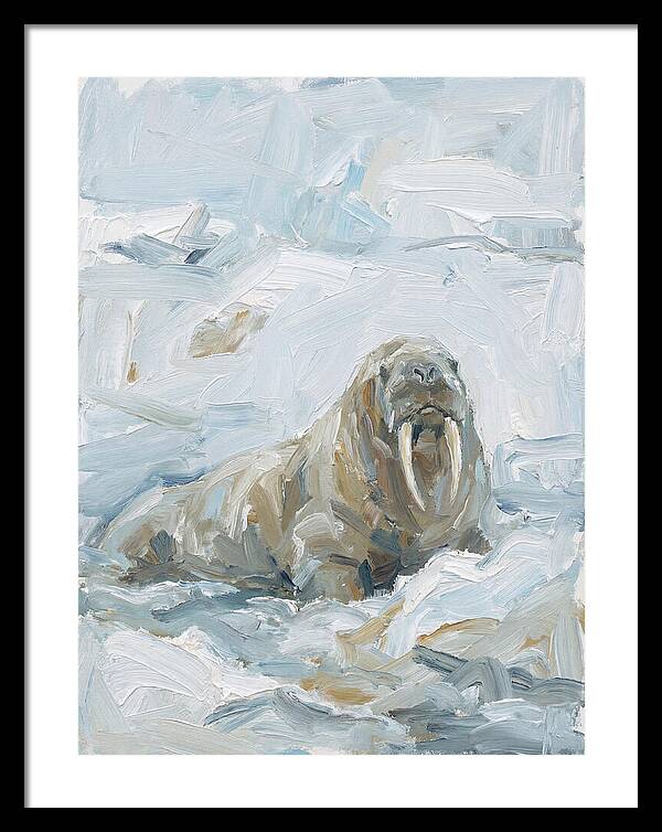 Walrus On Ice