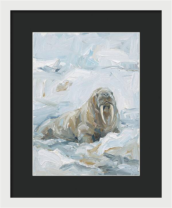Walrus On Ice