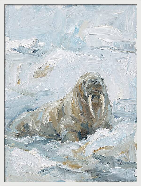 Walrus On Ice
