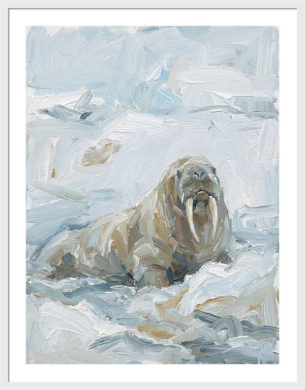 Walrus On Ice