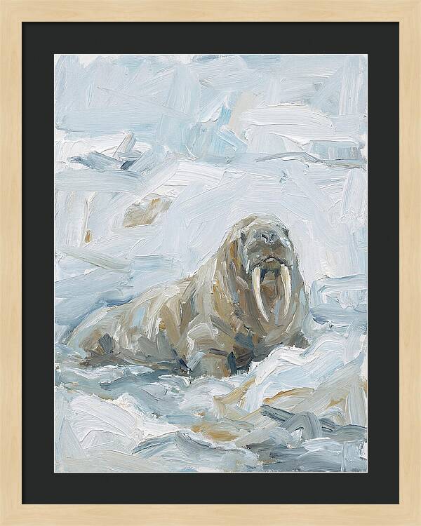 Walrus On Ice