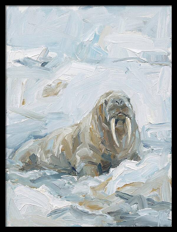 Walrus On Ice