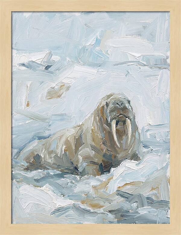Walrus On Ice