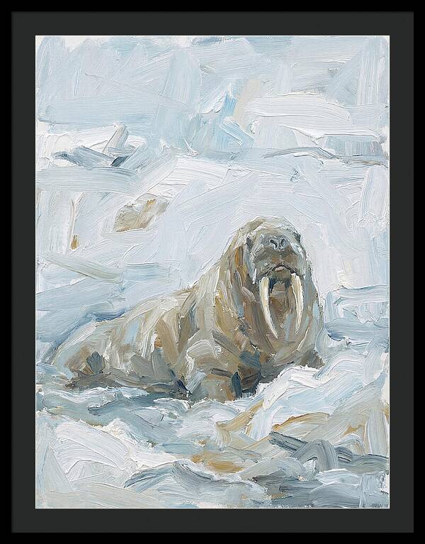 Walrus On Ice