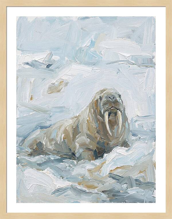 Walrus On Ice