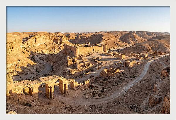 Ward Charcoal Ovens Vista
