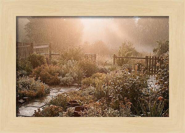 Warm Summer Rain On Garden