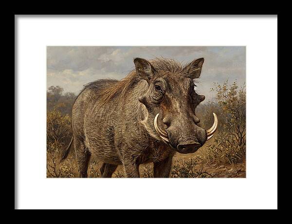 Warthog In Natural Habitat
