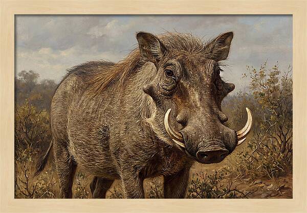 Warthog In Natural Habitat