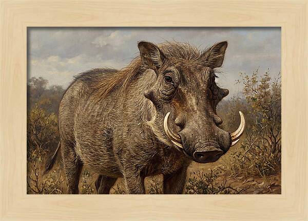 Warthog In Natural Habitat