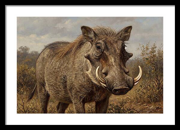 Warthog In Natural Habitat