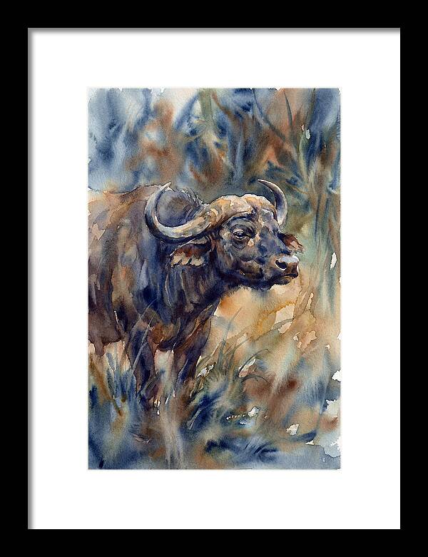 Water Buffalo Serenity