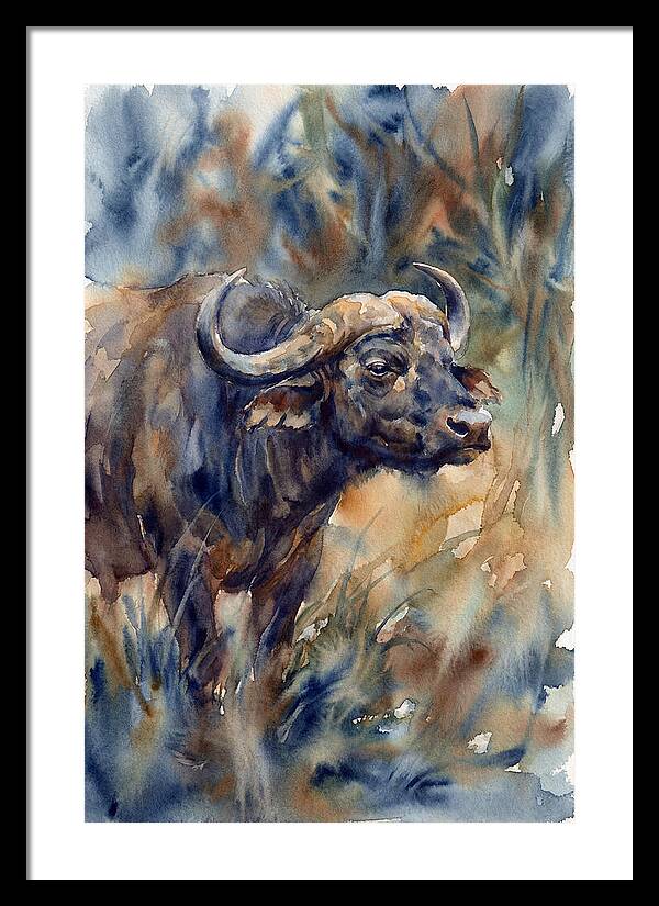 Water Buffalo Serenity