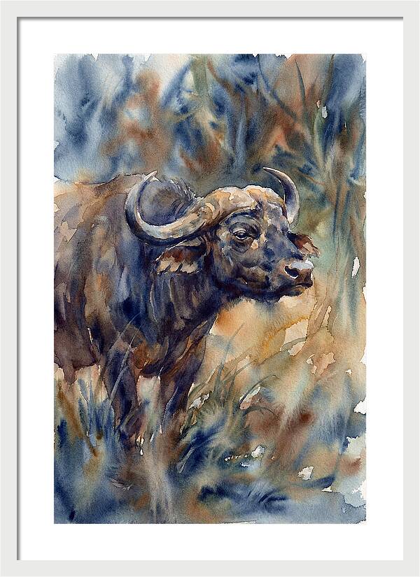Water Buffalo Serenity