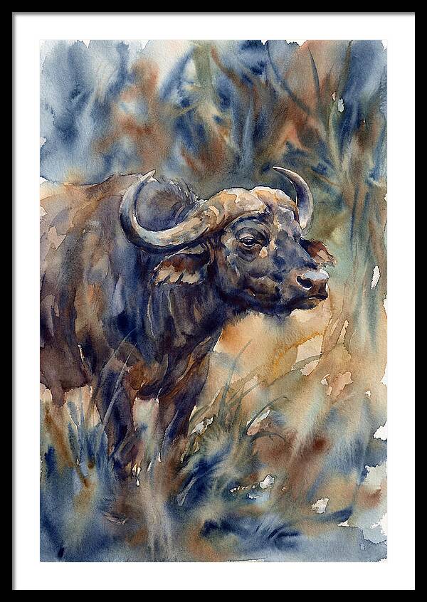Water Buffalo Serenity