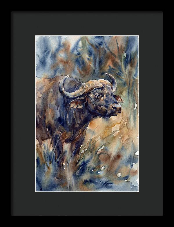 Water Buffalo Serenity