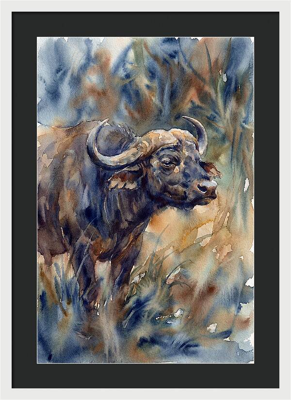 Water Buffalo Serenity