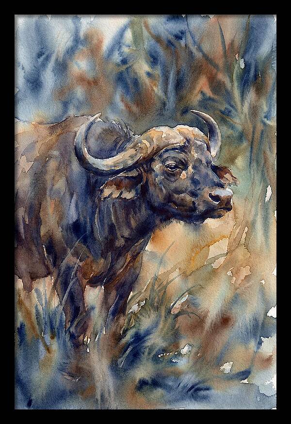 Water Buffalo Serenity