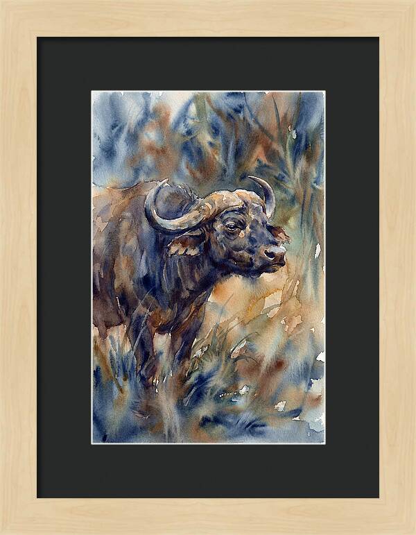 Water Buffalo Serenity