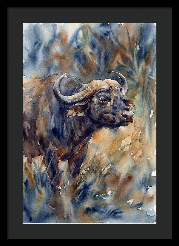 Water Buffalo Serenity