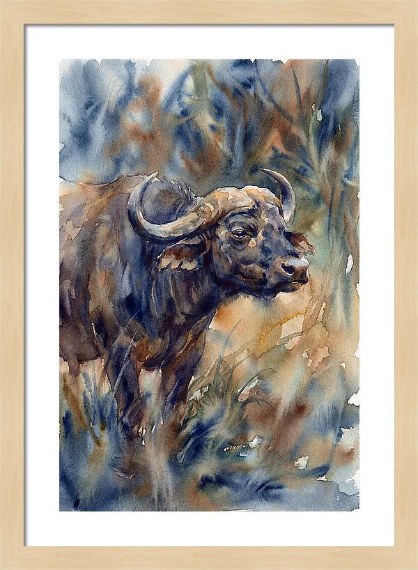 Water Buffalo Serenity