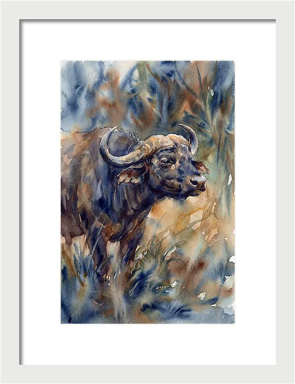 Water Buffalo Serenity