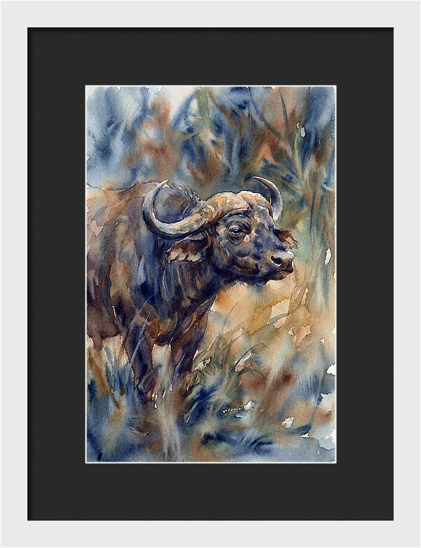 Water Buffalo Serenity