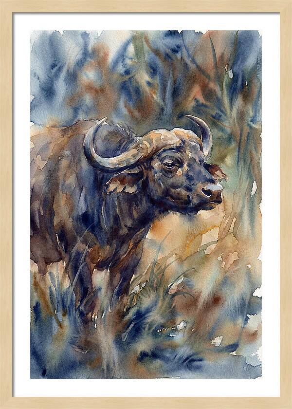 Water Buffalo Serenity